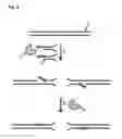 Fig. 04 - Polynucleotide modification methods