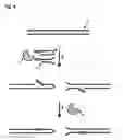 Fig. 05 - Polynucleotide modification methods
