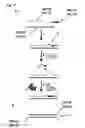 Fig. 18 - Polynucleotide modification methods