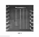 Fig. 06 - Optical lens system and method for microfluidic devices