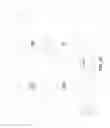 Fig. 23 - Optical lens system and method for microfluidic devices