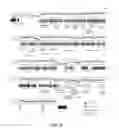 Fig. 12 - Pathogenicity Islands of Pseudomonas Aeruginosa