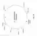 Fig. 17 - Pathogenicity Islands of Pseudomonas Aeruginosa