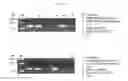 Fig. 03 - Nucleic acid amplification method using allele-specific reactive primer