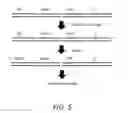 Fig. 07 - Detecting, Sequencing and/or Mapping 5-Hydroxymethylcytosine and 5-Formylcytosine at Single-Base Resolution
