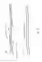 Fig. 11 - Apparatus, system, and method using immiscible-fluid-discrete-volumes