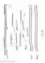 Fig. 15 - Apparatus, system, and method using immiscible-fluid-discrete-volumes