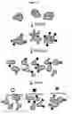 Fig. 02 - MOLECULAR CODING FOR ANALYSIS OF COMPOSITION OF MACROMOLECULES AND MOLECULAR COMPLEXES