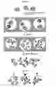 Fig. 03 - MOLECULAR CODING FOR ANALYSIS OF COMPOSITION OF MACROMOLECULES AND MOLECULAR COMPLEXES