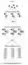 Fig. 06 - MOLECULAR CODING FOR ANALYSIS OF COMPOSITION OF MACROMOLECULES AND MOLECULAR COMPLEXES