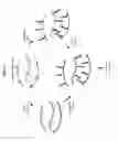 Fig. 11 - MOLECULAR CODING FOR ANALYSIS OF COMPOSITION OF MACROMOLECULES AND MOLECULAR COMPLEXES