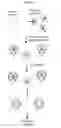 Fig. 15 - MOLECULAR CODING FOR ANALYSIS OF COMPOSITION OF MACROMOLECULES AND MOLECULAR COMPLEXES