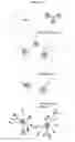 Fig. 16 - MOLECULAR CODING FOR ANALYSIS OF COMPOSITION OF MACROMOLECULES AND MOLECULAR COMPLEXES
