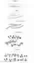 Fig. 18 - MOLECULAR CODING FOR ANALYSIS OF COMPOSITION OF MACROMOLECULES AND MOLECULAR COMPLEXES