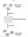 Fig. 21 - MOLECULAR CODING FOR ANALYSIS OF COMPOSITION OF MACROMOLECULES AND MOLECULAR COMPLEXES