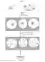 Fig. 23 - MOLECULAR CODING FOR ANALYSIS OF COMPOSITION OF MACROMOLECULES AND MOLECULAR COMPLEXES