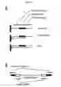 Fig. 24 - MOLECULAR CODING FOR ANALYSIS OF COMPOSITION OF MACROMOLECULES AND MOLECULAR COMPLEXES