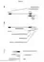 Fig. 25 - MOLECULAR CODING FOR ANALYSIS OF COMPOSITION OF MACROMOLECULES AND MOLECULAR COMPLEXES