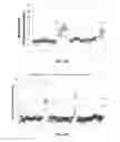 Fig. 55 - Detecting and classifying copy number variation