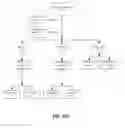 Fig. 65 - Detecting and classifying copy number variation