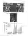 Fig. 02 - DIFFERENTIAL GENE EXPRESSION IN PHYSIOLOGICAL AND PATHOLOGICAL ANGIOGENESIS