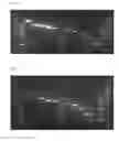 Fig. 02 - MOLECULAR IDENTIFICATION OF ALLERGY CAUSING MITES BY PCR
