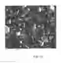 Fig. 07 - Coated body wherein the coating scheme includes a coating layer of TiAlOand method of making the same