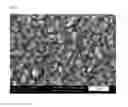 Fig. 04 - Method for depositing a copper seed layer onto a barrier layer and copper plating bath