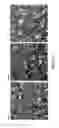 Fig. 07 - Crystalline silicon ingot and method of fabricating the same