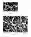 Fig. 06 - Melt Electrospun Fibers Containing Micro and Nanolayers and Method of Manufacturing
