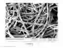 Fig. 07 - Melt Electrospun Fibers Containing Micro and Nanolayers and Method of Manufacturing
