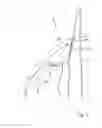 Fig. 04 - Hand-held steamer head