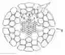 Fig. 01 - Method for producing a wire cable