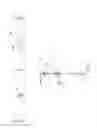 Fig. 08 - Hanger devices for interstital seismic resistant support for an acoustic ceiling grid