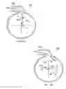 Fig. 05 - Flow guides for regulating pressure change in hydraulically-actuated downhole tools