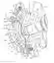 Fig. 01 - Variable turbine geometry turbocharger vane ring assembly retention device