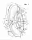 Fig. 07 - Variable turbine geometry turbocharger vane ring assembly retention device