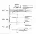 Fig. 08 - Controller for internal combustion engine