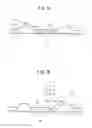 Fig. 06 - Exhaust purification system of internal combustion engine
