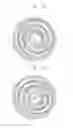 Fig. 17 - Scroll compressor with oldham ring having a plurality of keys coupled to an orbiting scroll and a fixed scroll