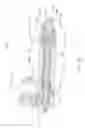 Fig. 14 - Blow down actuator assembly