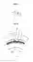 Fig. 05 - Cam clutch