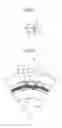 Fig. 06 - Cam clutch