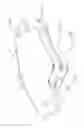 Fig. 12 - Embossed brake pad