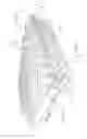 Fig. 18 - Embossed brake pad