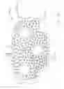 Fig. 27 - Embossed brake pad
