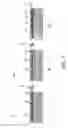 Fig. 05 - Friction material for clutch