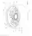 Fig. 20 - TORSIONAL VIBRATION DAMPER