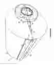 Fig. 16 - Apparatuses and systems for converting fluid energy to mechanical motion