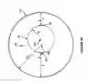 Fig. 33 - Apparatuses and systems for converting fluid energy to mechanical motion